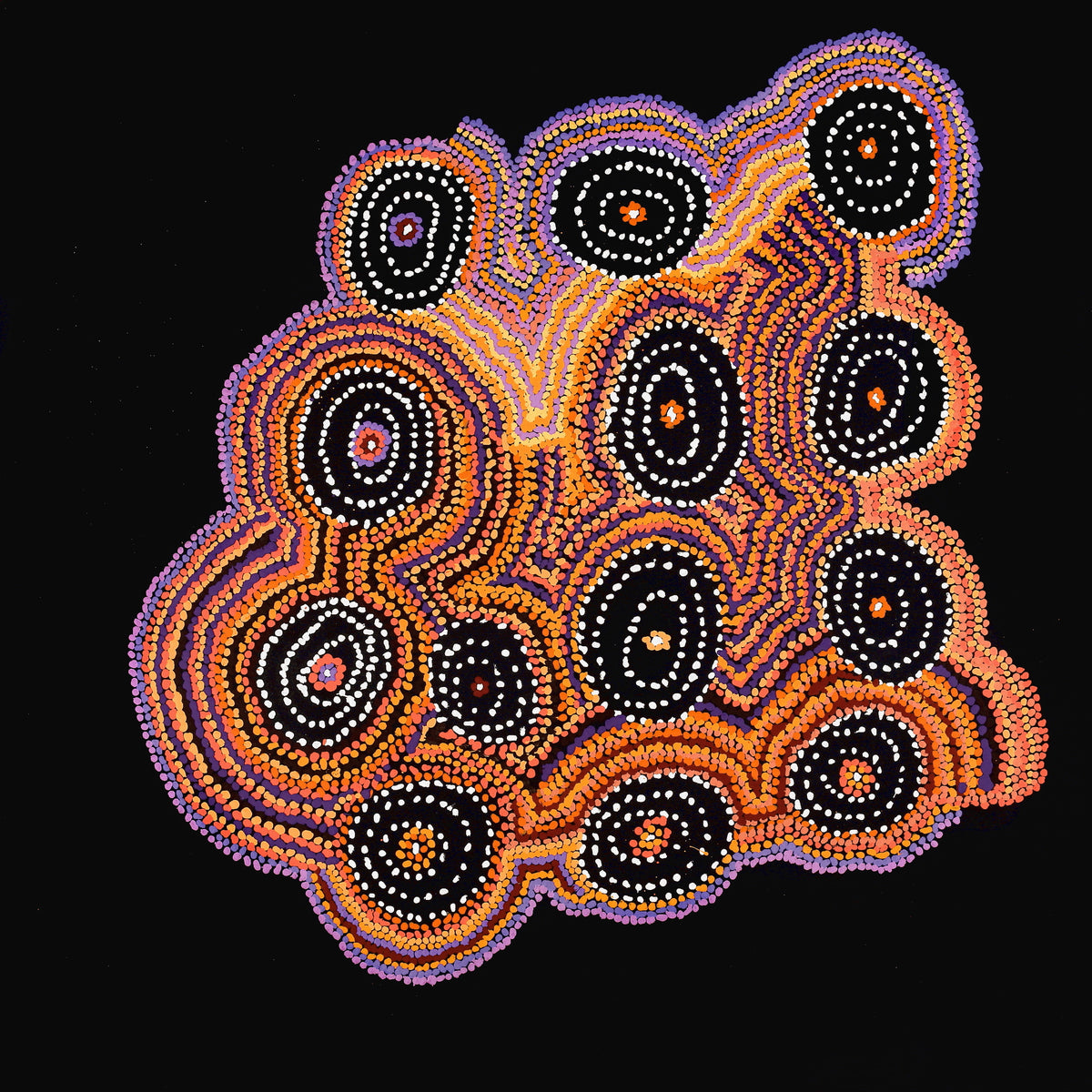 Aboriginal Art by Jeani Napangardi Lewis, Mina Mina Jukurrpa, 107x107cm - ART ARK®