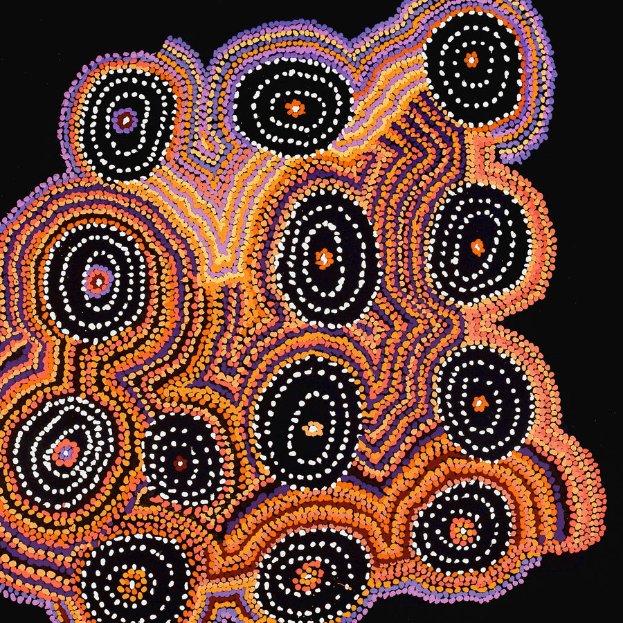 Aboriginal Artwork by Jeani Napangardi Lewis, Mina Mina Jukurrpa, 107x107cm