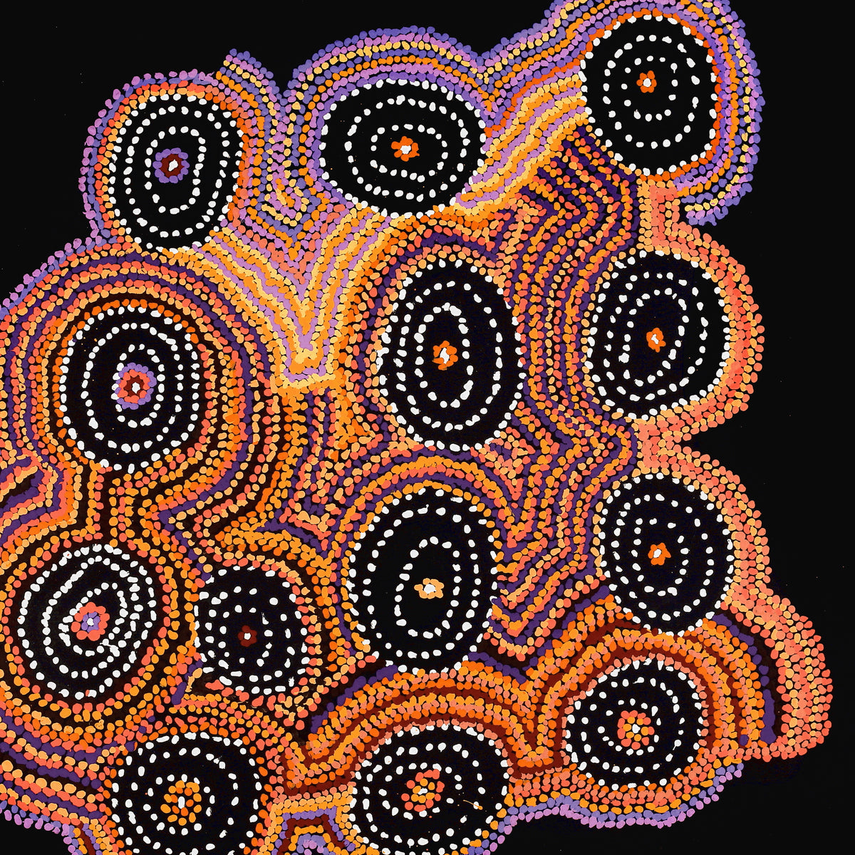 Aboriginal Art by Jeani Napangardi Lewis, Mina Mina Jukurrpa, 107x107cm - ART ARK®