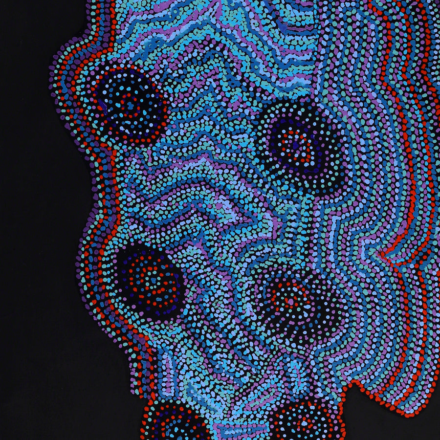 Aboriginal Artwork by Jeani Napangardi Lewis, Mina Mina Jukurrpa - Ngalyipi, 183x76cm