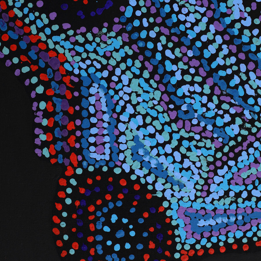 Aboriginal Artwork by Jeani Napangardi Lewis, Mina Mina Jukurrpa - Ngalyipi, 183x76cm