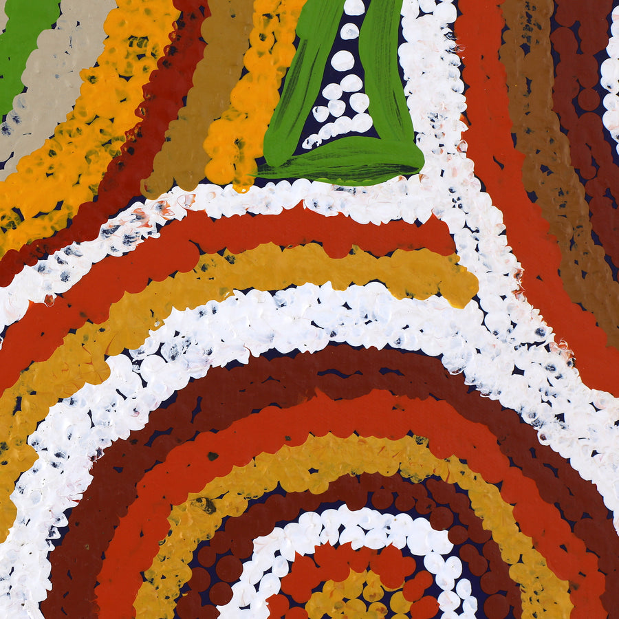 Aboriginal Artwork by Jennifer Forbes, Minyma Kutjara, 61x61cm