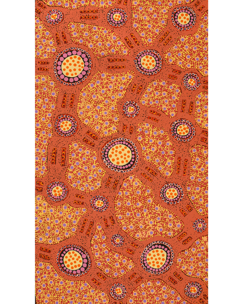Aboriginal Artwork by Jennifer Napaljarri Lewis, Lukarrara Jukurrpa, 107x61cm