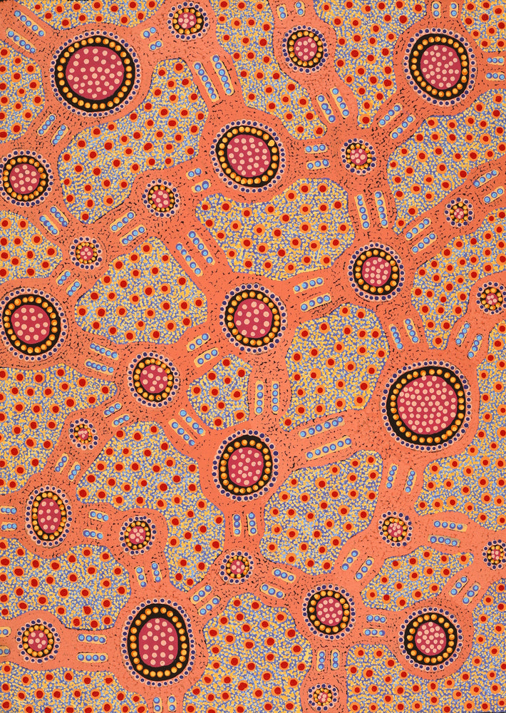 Aboriginal Artwork by Jennifer Napaljarri Lewis, Lukarrara Jukurrpa, 107x76cm