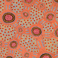 Aboriginal Artwork by Jennifer Napaljarri Lewis, Lukarrara Jukurrpa, 107x76cm