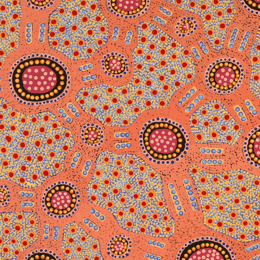 Aboriginal Artwork by Jennifer Napaljarri Lewis, Lukarrara Jukurrpa, 107x76cm