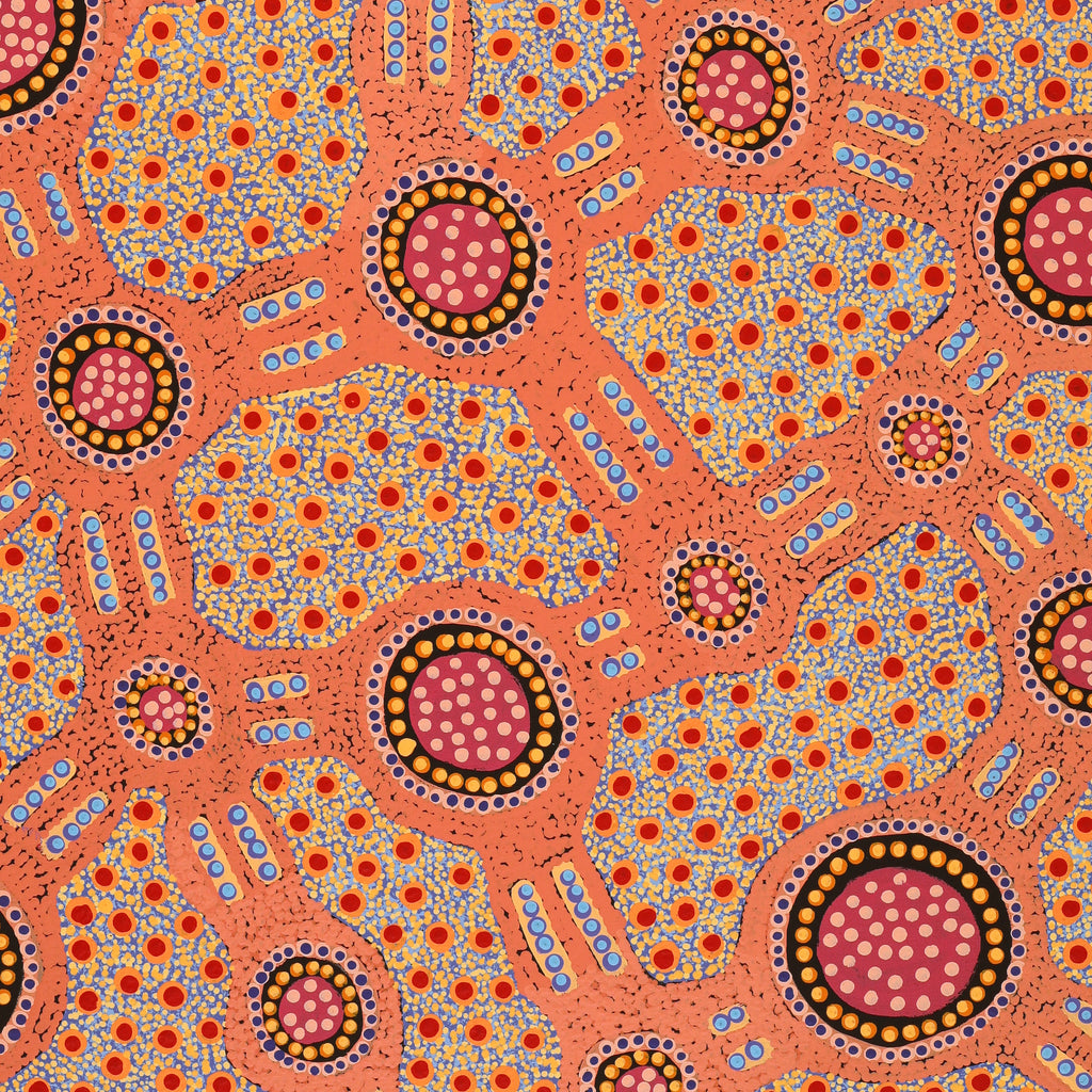 Aboriginal Artwork by Jennifer Napaljarri Lewis, Lukarrara Jukurrpa, 107x76cm