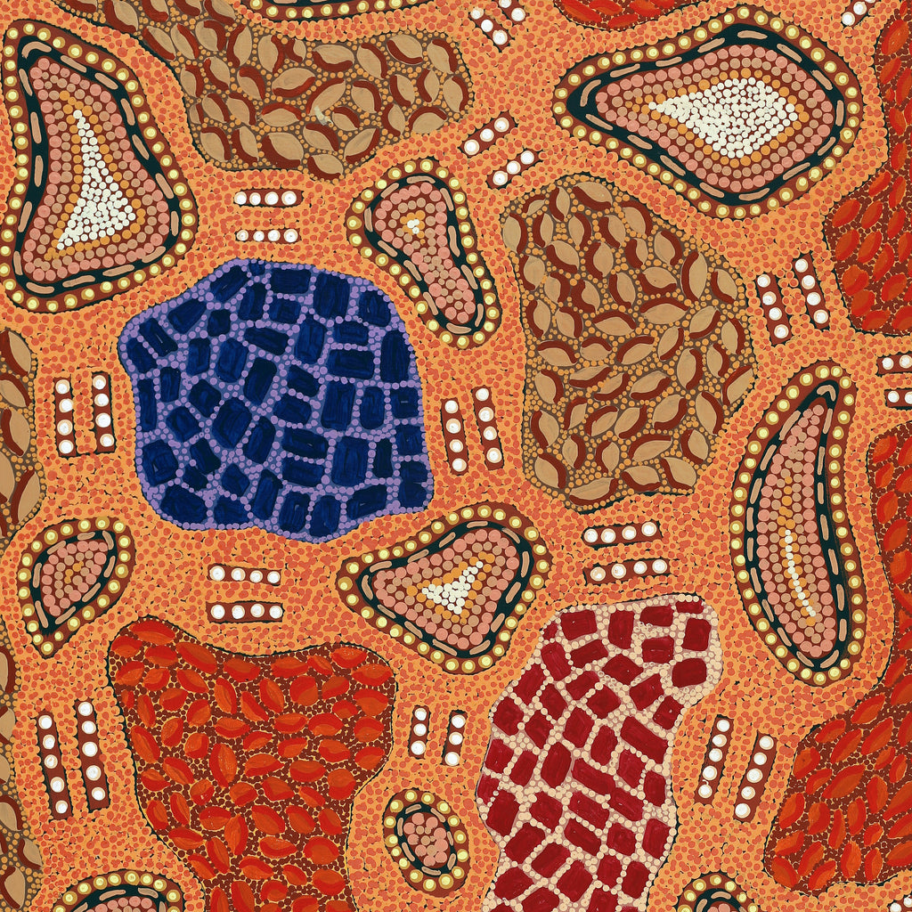 Aboriginal Artwork by Jennifer Napaljarri Lewis, Ngapa Jukurrpa (Water Dreaming) - Puyurru, 122x61cm