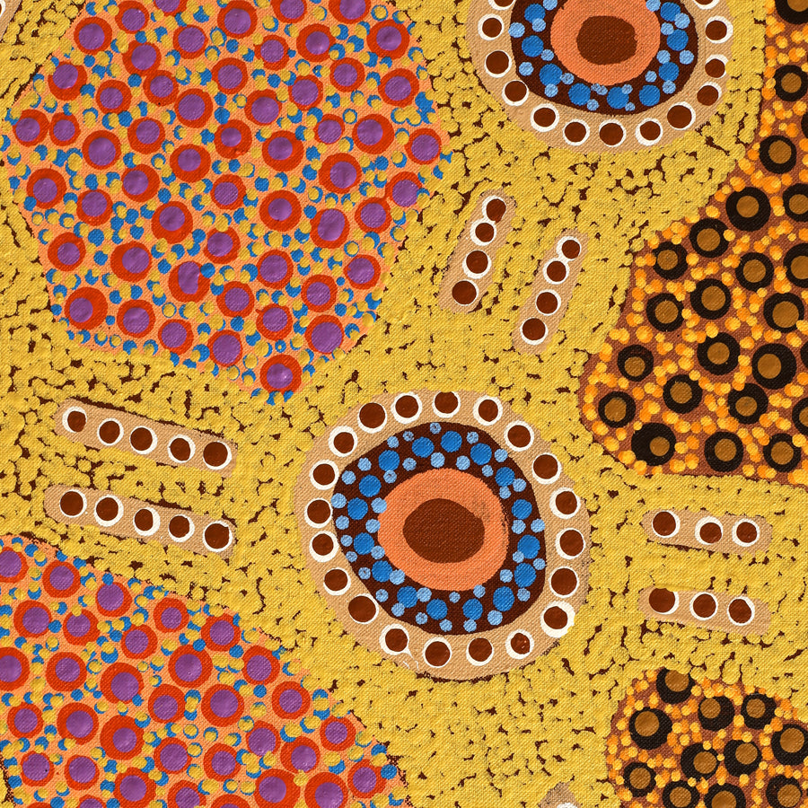 Aboriginal Artwork by Jennifer Napaljarri Lewis, Ngapa Jukurrpa (Water Dreaming) - Puyurru, 122x61cm
