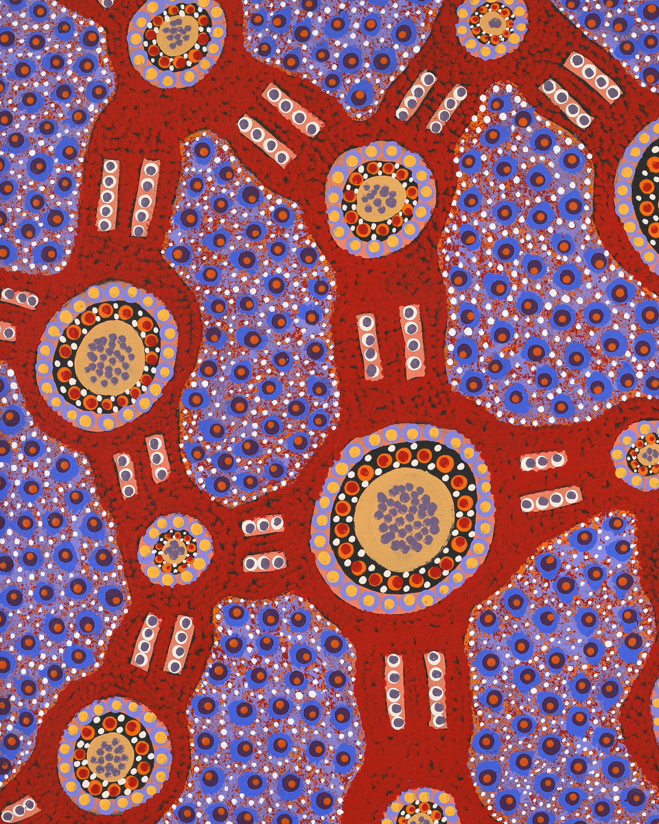 Aboriginal Artwork by Jennifer Napaljarri Lewis, Lukarrara Jukurrpa, 91x61cm