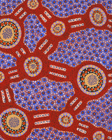 Aboriginal Artwork by Jennifer Napaljarri Lewis, Lukarrara Jukurrpa, 91x61cm