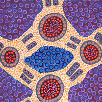 Aboriginal Artwork by Jennifer Napaljarri Lewis, Ngapa Jukurrpa (Water Dreaming) - Puyurru, 61x30cm