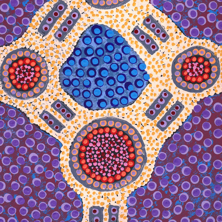 Aboriginal Artwork by Jennifer Napaljarri Lewis, Ngapa Jukurrpa (Water Dreaming) - Puyurru, 61x30cm