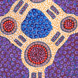 Aboriginal Art by Jennifer Napaljarri Lewis, Ngapa Jukurrpa (Water Dreaming) - Puyurru, 61x30cm - ART ARK®