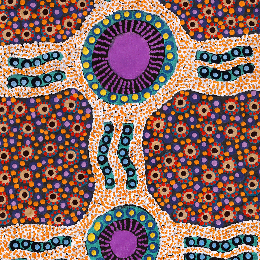 Aboriginal Artwork by Jennifer Napaljarri Lewis, Ngapa Jukurrpa (Water Dreaming) - Puyurru, 76x30cm