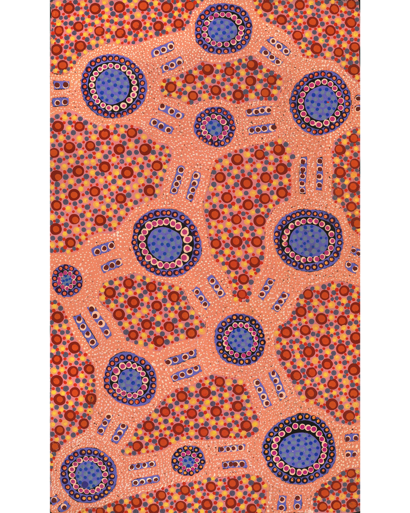 Aboriginal Artwork by Jennifer Napaljarri Lewis, Lukarrara Jukurrpa, 76x46cm