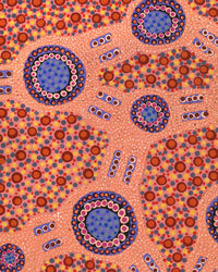 Aboriginal Artwork by Jennifer Napaljarri Lewis, Lukarrara Jukurrpa, 76x46cm