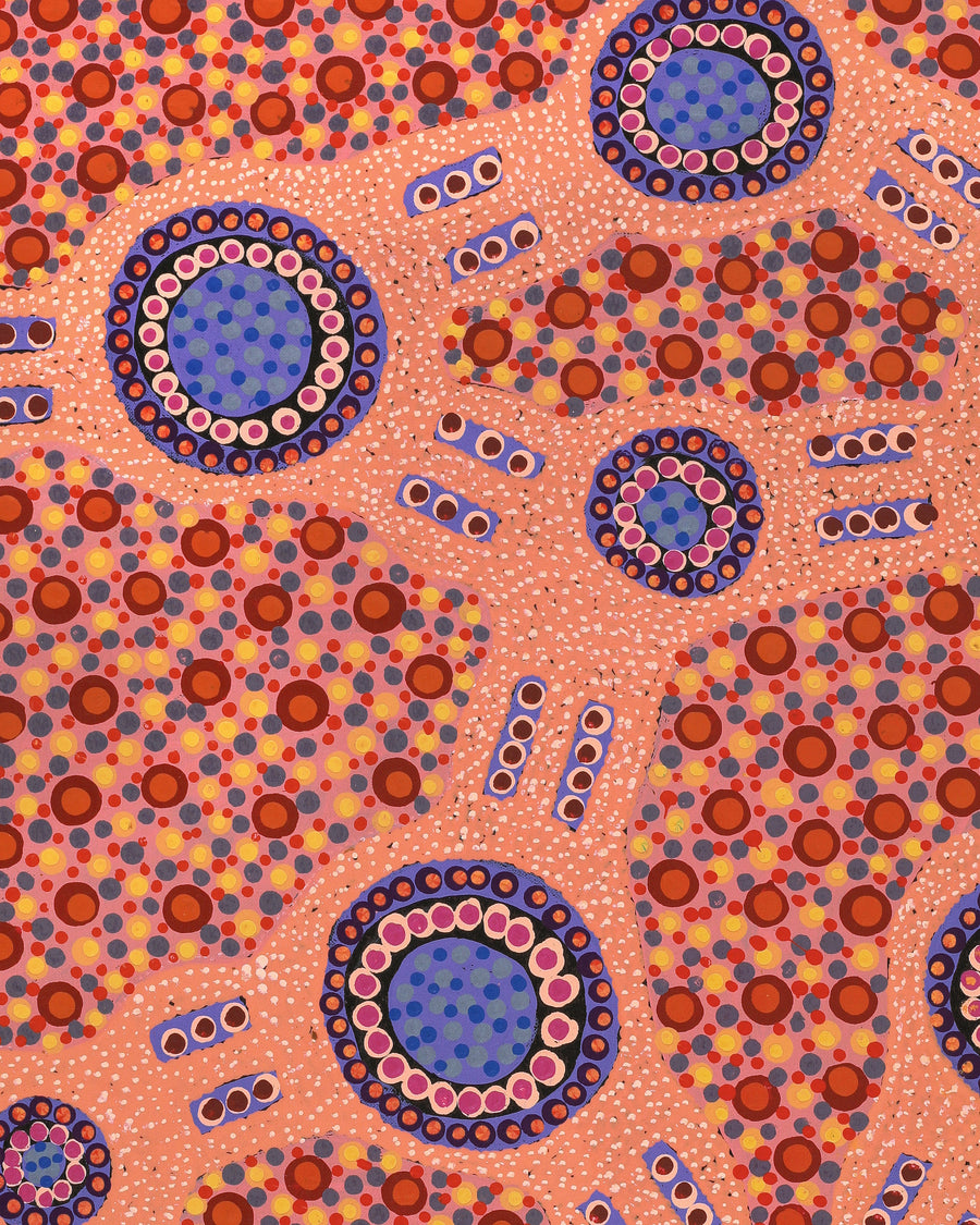 Aboriginal Artwork by Jennifer Napaljarri Lewis, Lukarrara Jukurrpa, 76x46cm