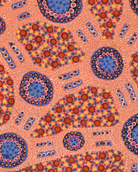 Aboriginal Artwork by Jennifer Napaljarri Lewis, Lukarrara Jukurrpa, 76x46cm