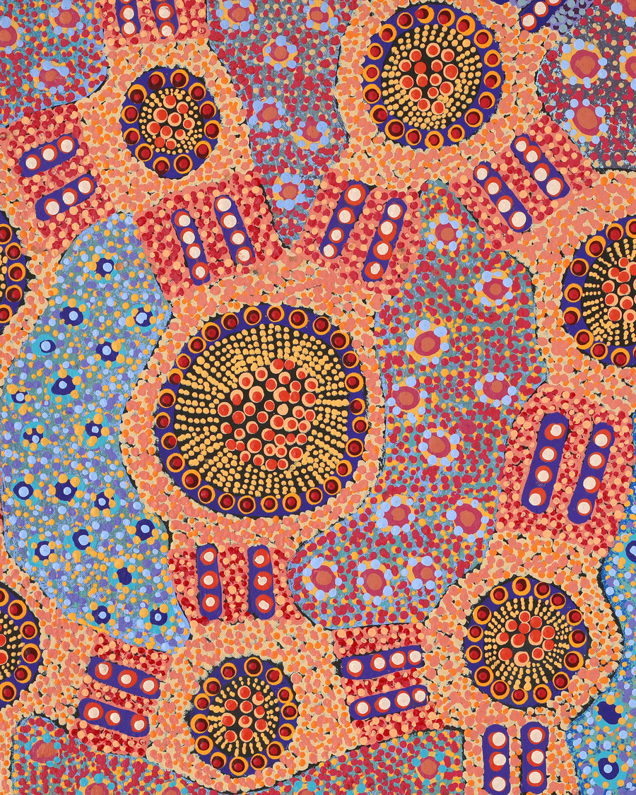 Aboriginal Artwork by Jennifer Napaljarri Lewis, Lukarrara Jukurrpa, 91x46cm
