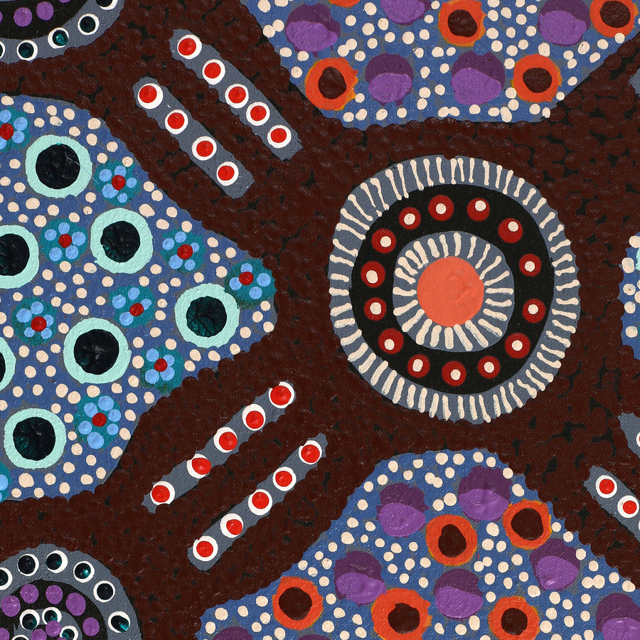 Aboriginal Artwork by Jennifer Napaljarri Lewis, Ngapa Jukurrpa (Water Dreaming) - Puyurru, 91x46cm