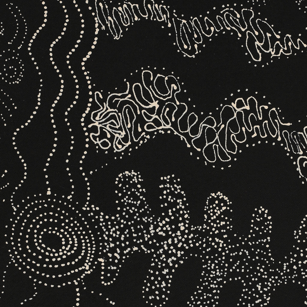 Aboriginal Artwork by Joanne Ken, Minyma Kutjara Tjukurrpa, 101x71cm
