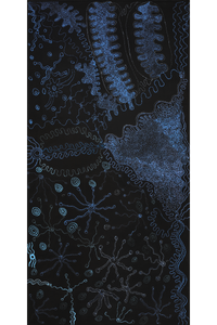 Aboriginal Artwork by Joanne Ken, Minyma Kutjara Tjukurrpa, 120x60cm