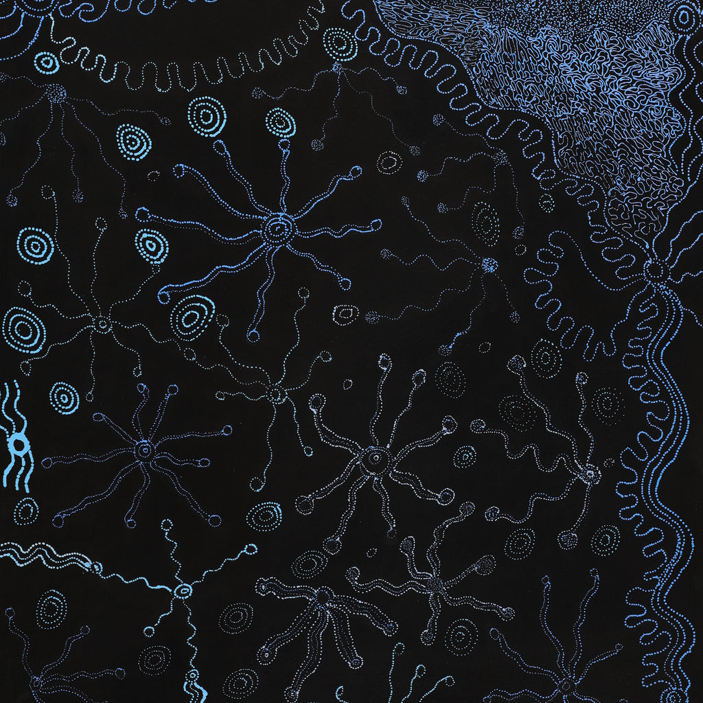 Aboriginal Artwork by Joanne Ken, Minyma Kutjara Tjukurrpa, 120x60cm