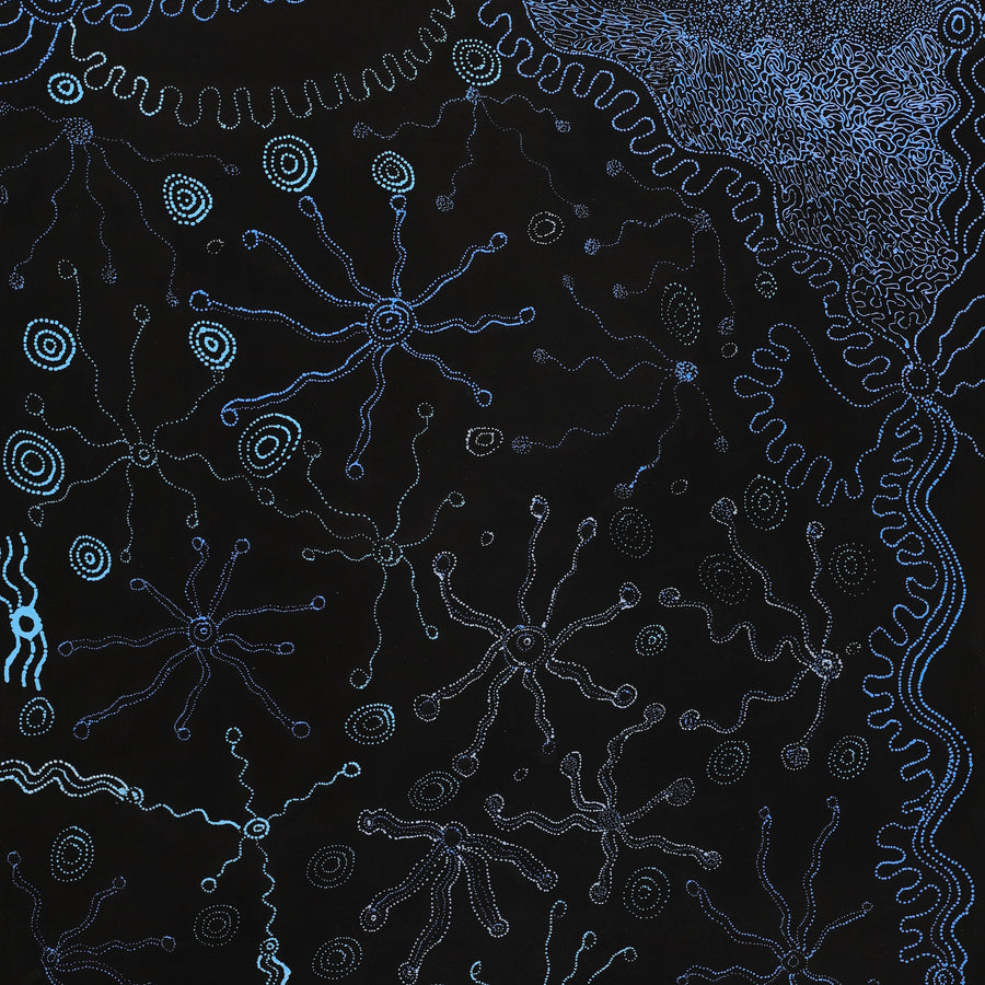 Aboriginal Artwork by Joanne Ken, Minyma Kutjara Tjukurrpa, 120x60cm