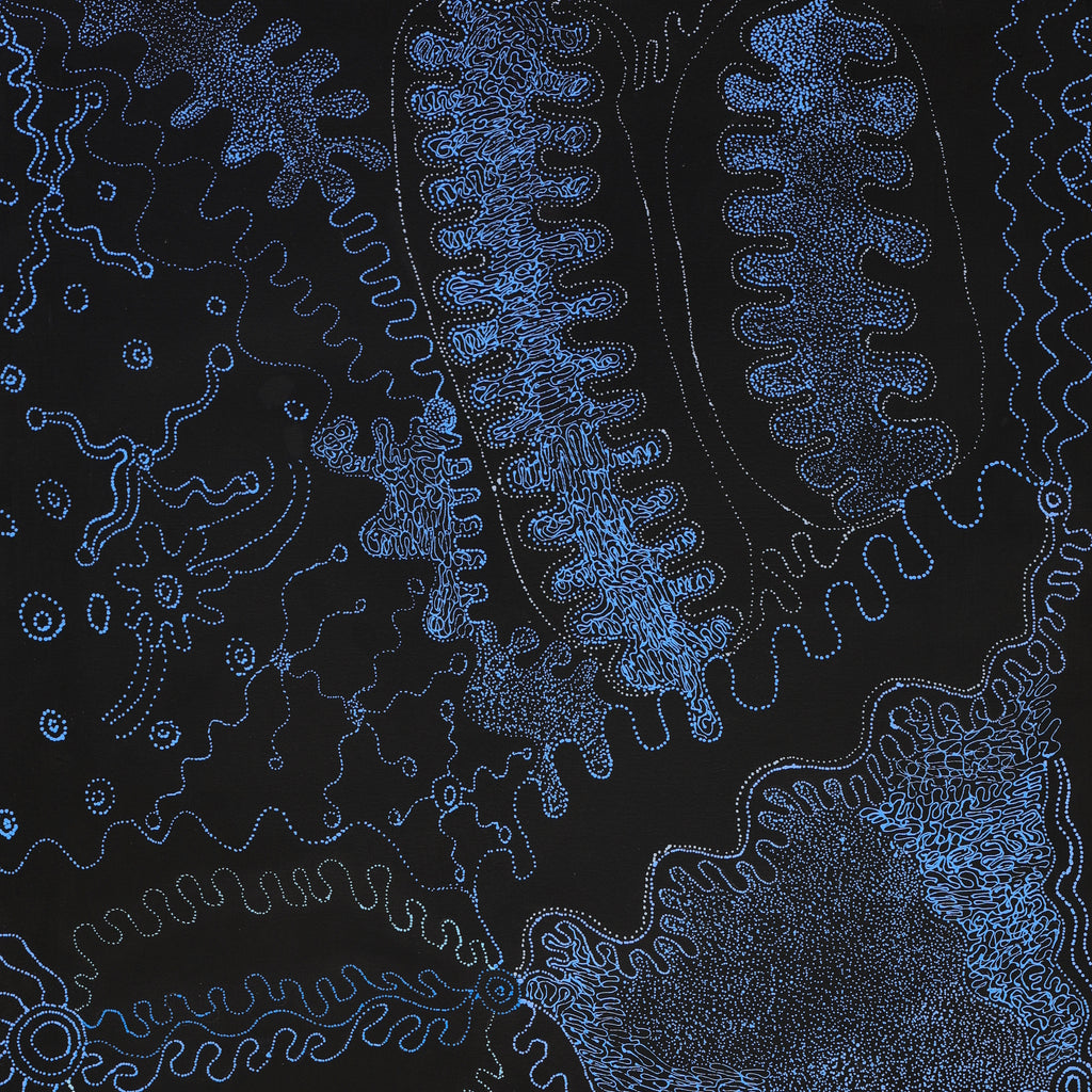 Aboriginal Artwork by Joanne Ken, Minyma Kutjara Tjukurrpa, 120x60cm