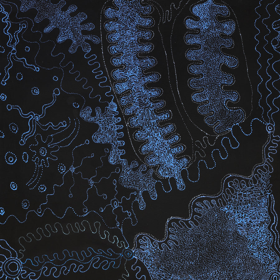 Aboriginal Artwork by Joanne Ken, Minyma Kutjara Tjukurrpa, 120x60cm