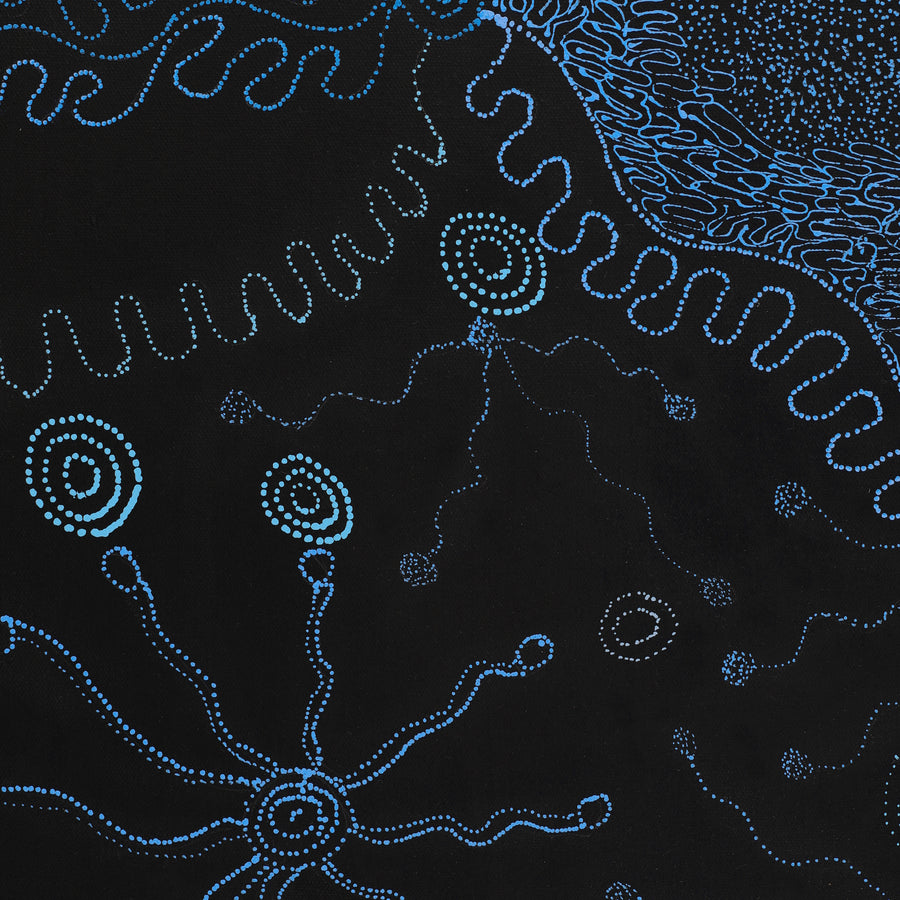 Aboriginal Artwork by Joanne Ken, Minyma Kutjara Tjukurrpa, 120x60cm