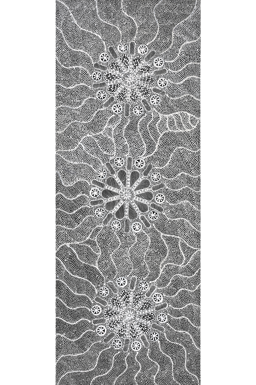 Aboriginal Artwork by Jocelyn Napanangka Frank, Lukarrara Jukurrpa (Desert Fringe-rush Seed Dreaming), 122x46cm