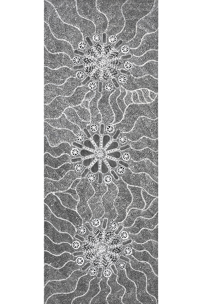 Aboriginal Artwork by Jocelyn Napanangka Frank, Lukarrara Jukurrpa (Desert Fringe-rush Seed Dreaming), 122x46cm