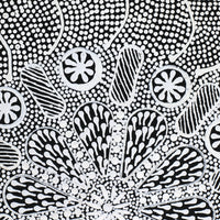 Aboriginal Artwork by Jocelyn Napanangka Frank, Lukarrara Jukurrpa (Desert Fringe-rush Seed Dreaming), 122x46cm