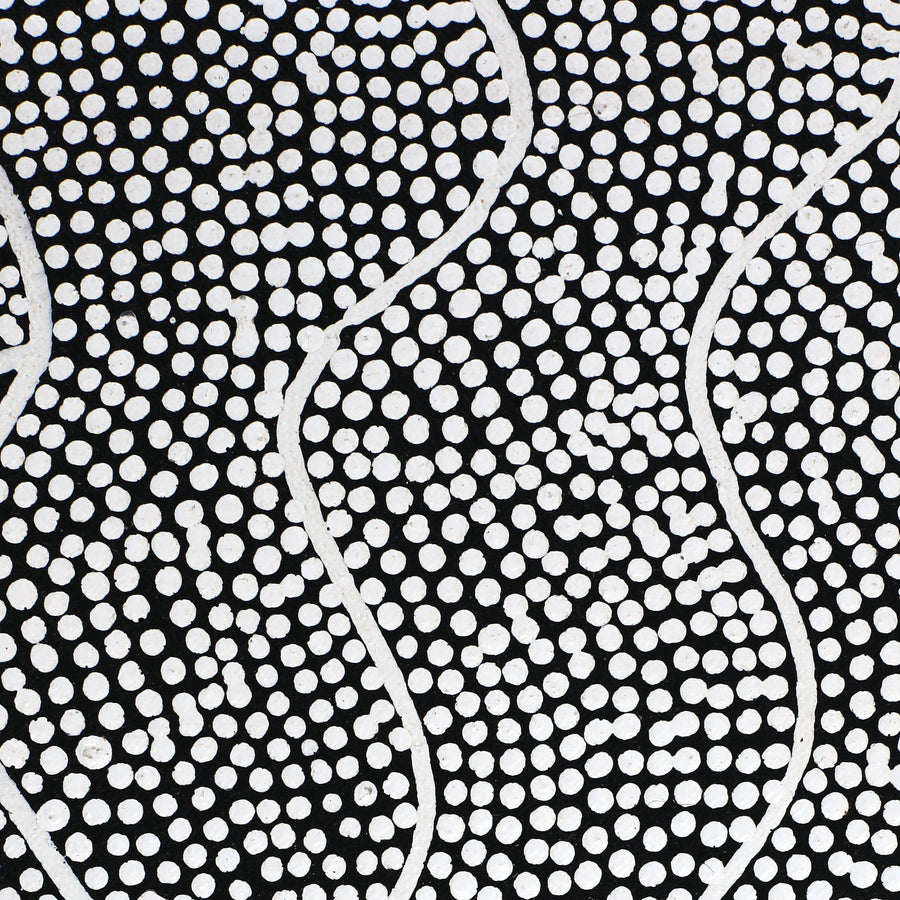 Aboriginal Artwork by Jocelyn Napanangka Frank, Lukarrara Jukurrpa (Desert Fringe-rush Seed Dreaming), 122x46cm