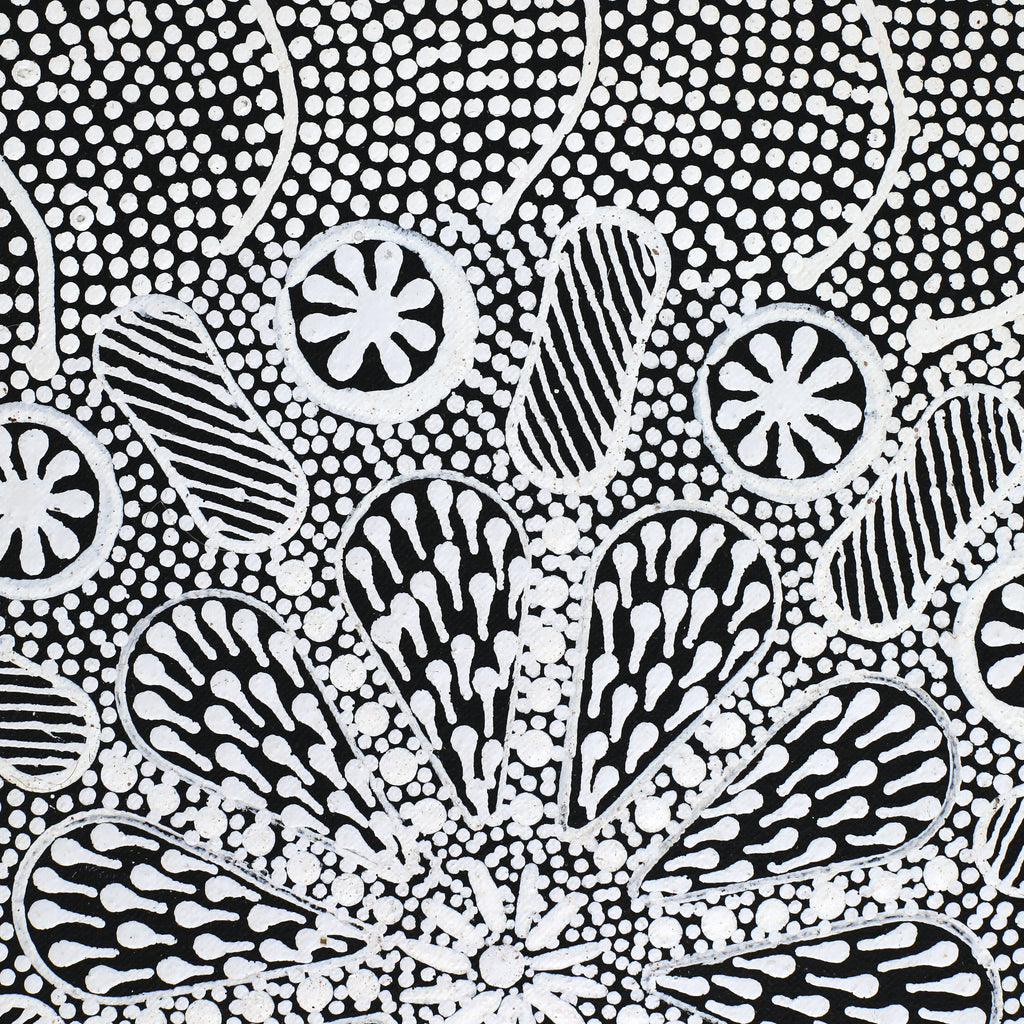 Aboriginal Art by Jocelyn Napanangka Frank, Lukarrara Jukurrpa (Desert Fringe-rush Seed Dreaming), 122x46cm - ART ARK®