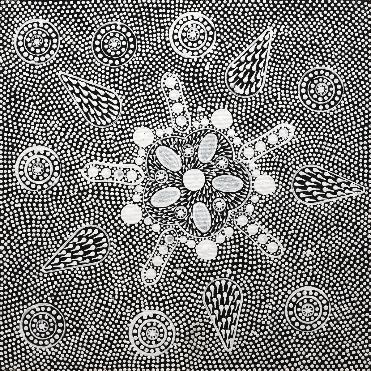 Aboriginal Art by Jocelyn Napanangka Frank, Lukarrara Jukurrpa, 30x30cm - ART ARK®