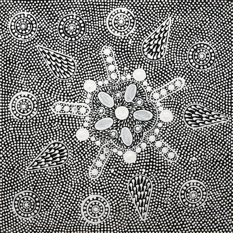 Aboriginal Artwork by Jocelyn Napanangka Frank, Lukarrara Jukurrpa, 30x30cm