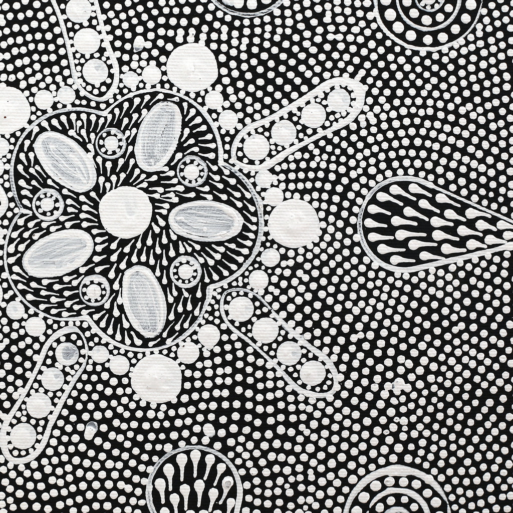 Aboriginal Artwork by Jocelyn Napanangka Frank, Lukarrara Jukurrpa, 30x30cm