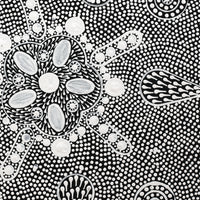 Aboriginal Artwork by Jocelyn Napanangka Frank, Lukarrara Jukurrpa, 30x30cm