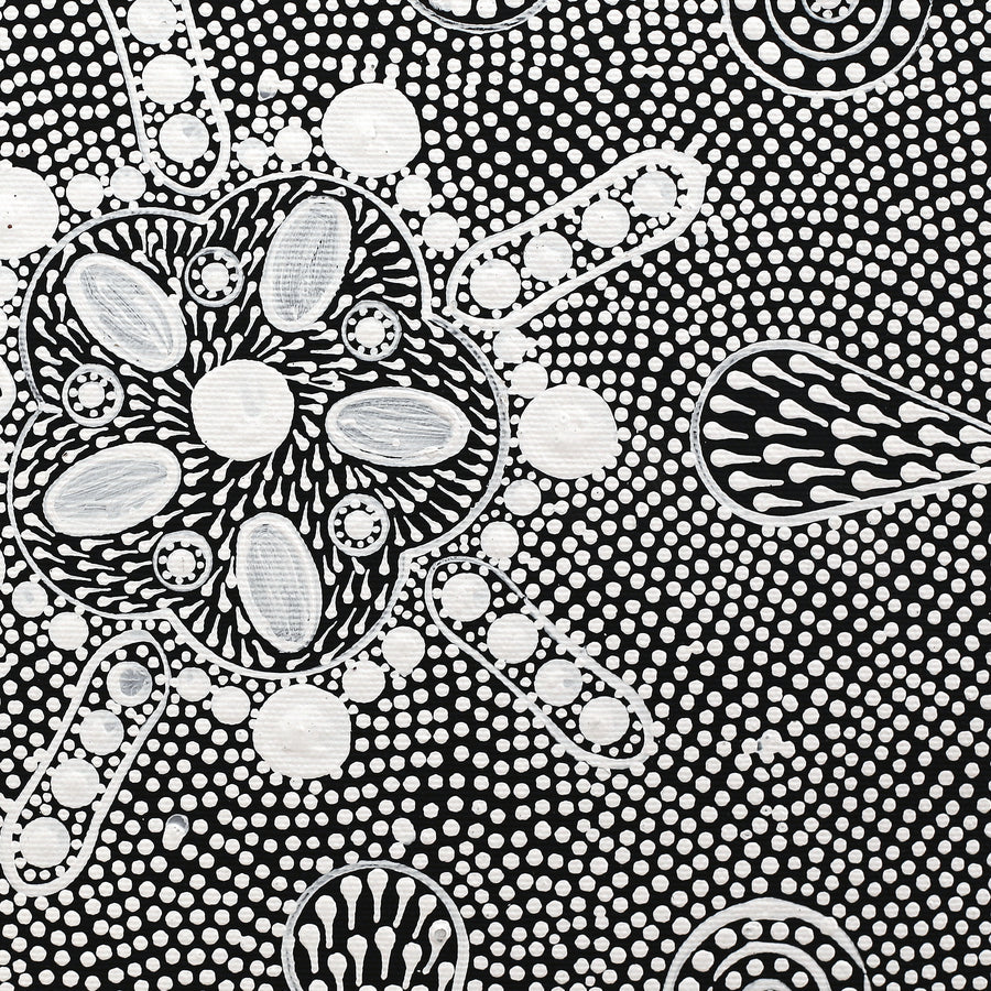 Aboriginal Artwork by Jocelyn Napanangka Frank, Lukarrara Jukurrpa, 30x30cm