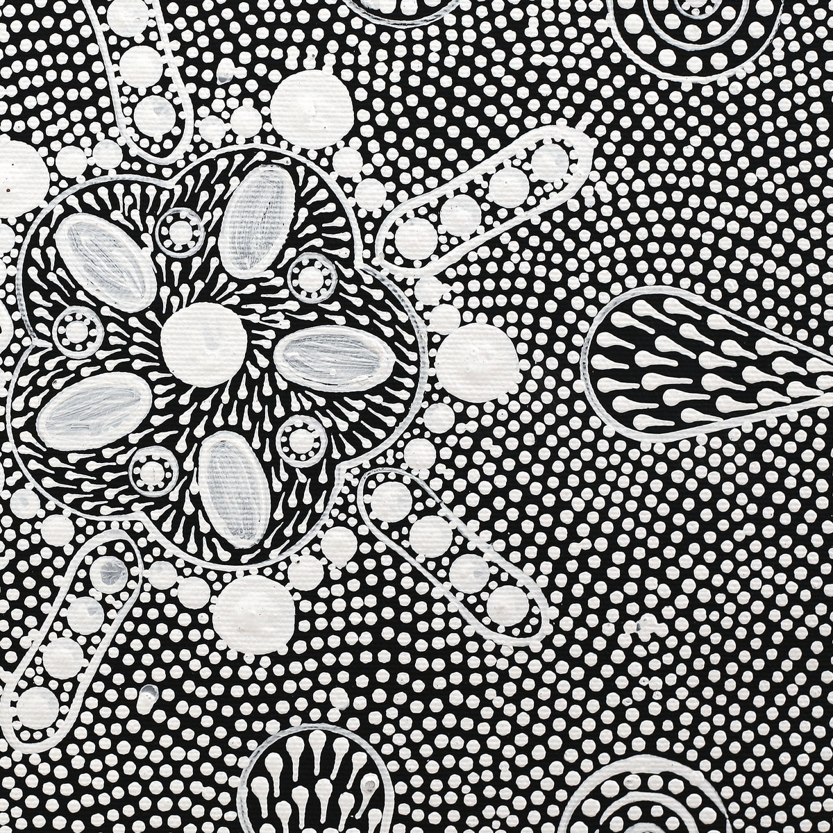 Aboriginal Art by Jocelyn Napanangka Frank, Lukarrara Jukurrpa, 30x30cm - ART ARK®