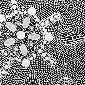 Aboriginal Artwork by Jocelyn Napanangka Frank, Lukarrara Jukurrpa, 30x30cm - ART ARK®