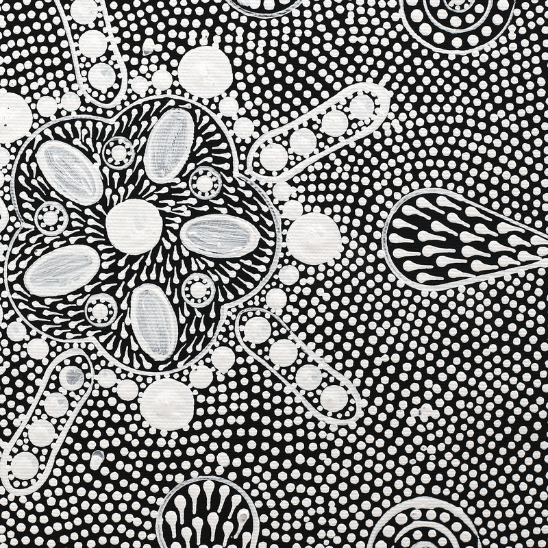 Aboriginal Artwork by Jocelyn Napanangka Frank, Lukarrara Jukurrpa, 30x30cm