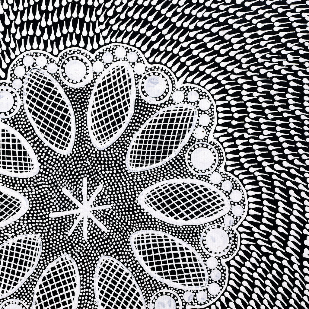 Aboriginal Artwork by Jocelyn Napanangka Frank, Lukarrara Jukurrpa, 30x30cm
