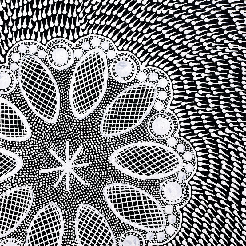 Aboriginal Artwork by Jocelyn Napanangka Frank, Lukarrara Jukurrpa, 30x30cm