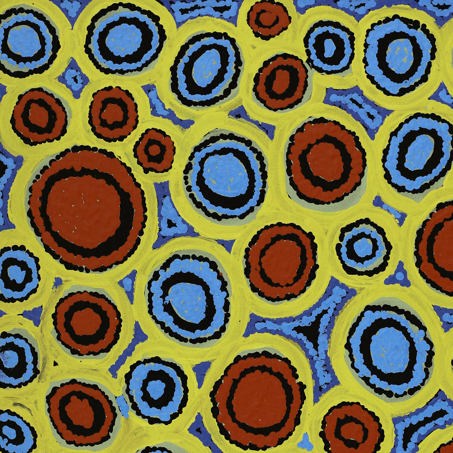 Aboriginal Artwork by Josephine James, Ngayuku Ngura, 61x46cm