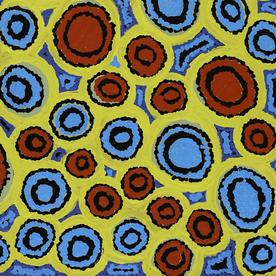 Aboriginal Artwork by Josephine James, Ngayuku Ngura, 61x46cm