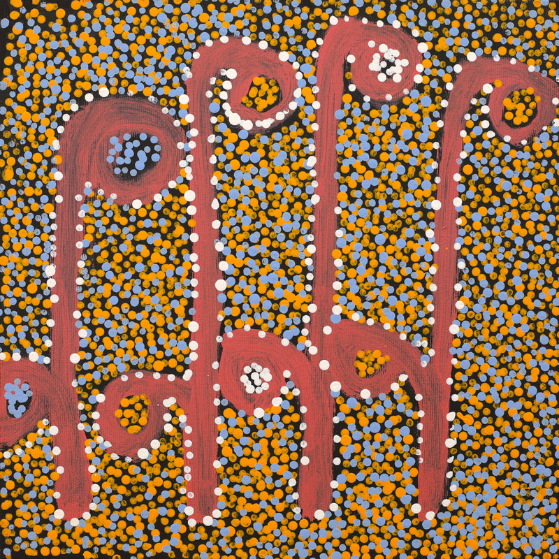 Aboriginal Artwork by Joshua Jungarrayi Brady, The Seven Sisters - Anangu Pitjantjatjara Yankunytjatjara Jukurrpa, 30x30cm